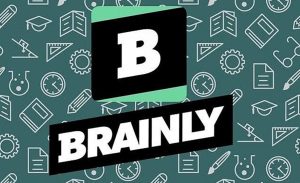 Brainly 3