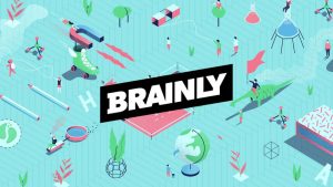 Brainly 1