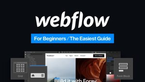 Webflow 1