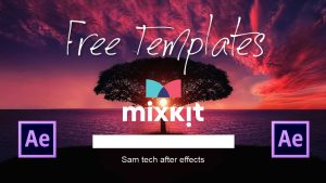 Mixkit 4