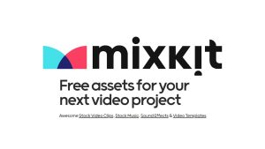 Mixkit 3