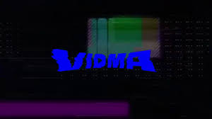 VidMax 1