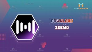 Zeemo AI 1